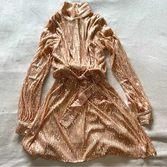 Rose Gold XS Shimmer Dress - Picture 1 of 5